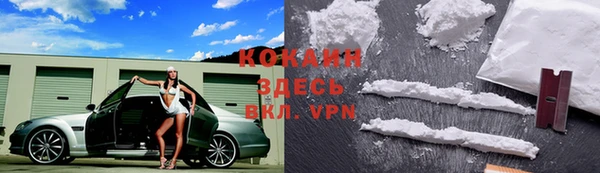 гидра Аркадак