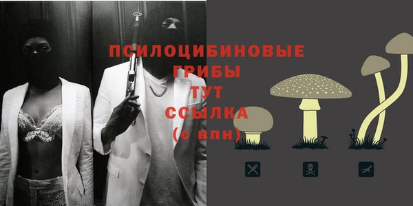 2c-b Армянск