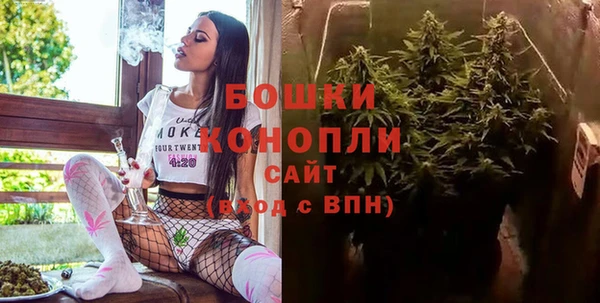 гидра Аркадак