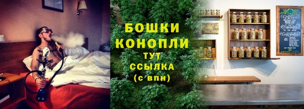 гидра Аркадак