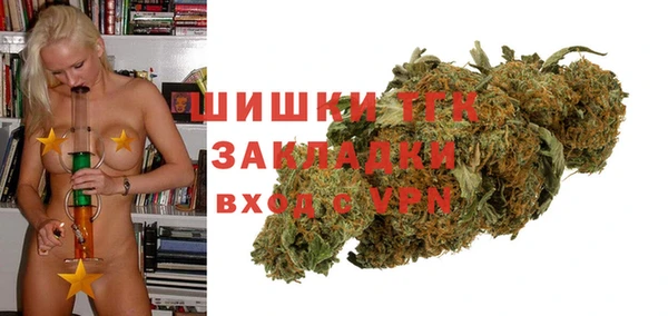 соль ск Арсеньев