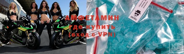 гидра Аркадак