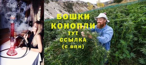 гидра Аркадак
