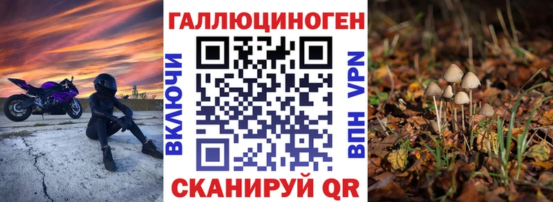 купить наркотики сайты  Покров  Псилоцибиновые грибы Magic Shrooms 